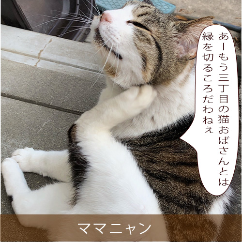 20211019_touko.jpg