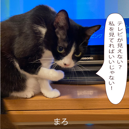 20211021_touko.jpg
