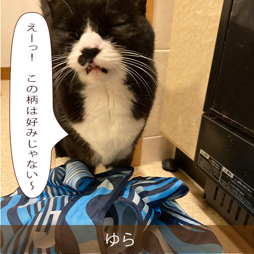 20211024_touko.jpg