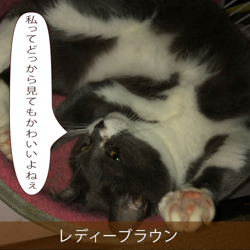 20211026_touko.jpg