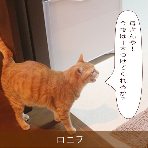 20211027_touko.jpg
