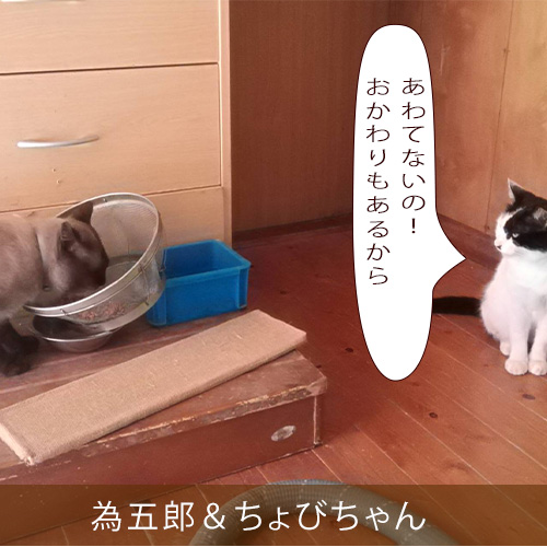20211028_touko.jpg