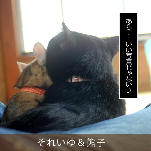 20211029_touko.jpg
