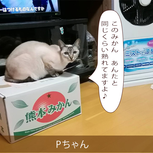 20211101_touko.jpg