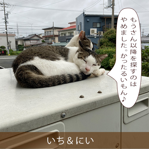 20211103_touko.jpg
