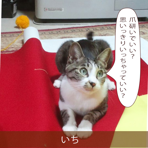 20211104_touko.jpg