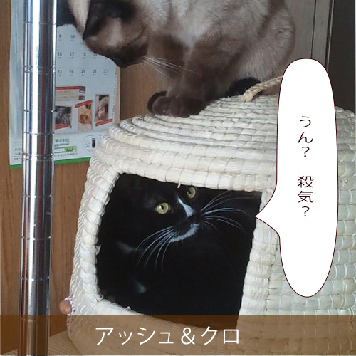 20211105_touko.jpg