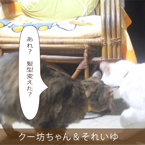 20211106_touko.jpg