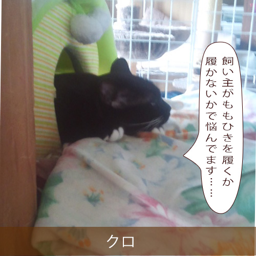 20211108_touko.jpg