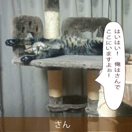 20211109_touko.jpg