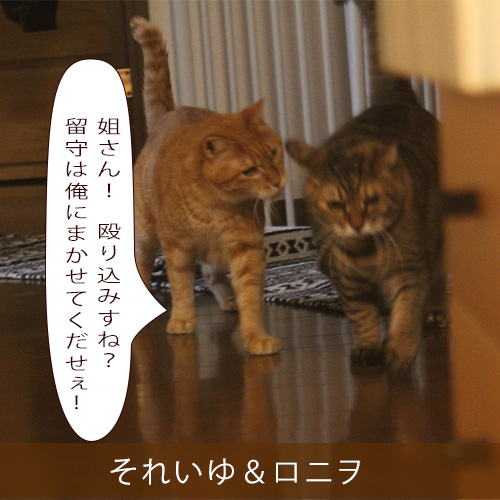 20211110_touko.jpg