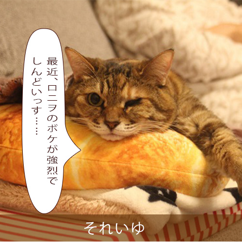 20211111_touko.jpg