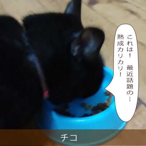 20211112_touko.jpg