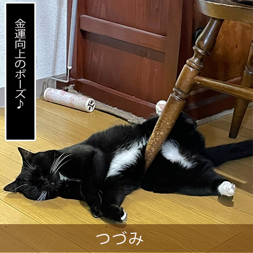 20211113_touko.jpg