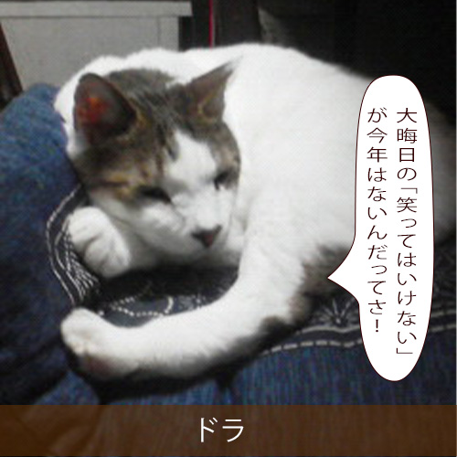 20211114_touko.jpg