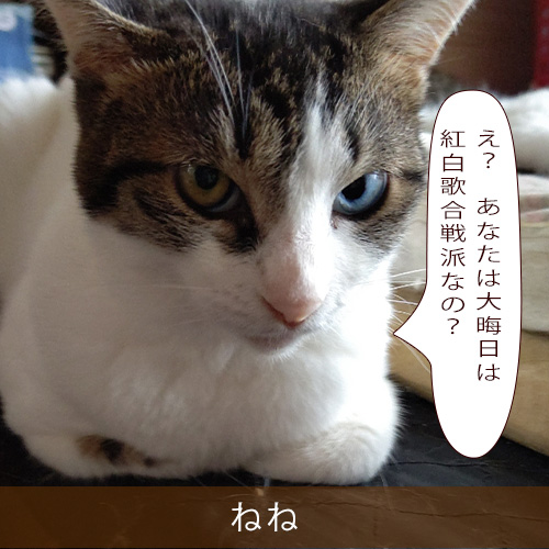 20211115_touko.jpg