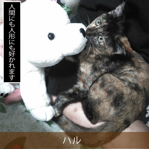20211117_touko.jpg