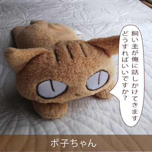 20211118_touko.jpg