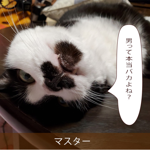 20211119_touko.jpg