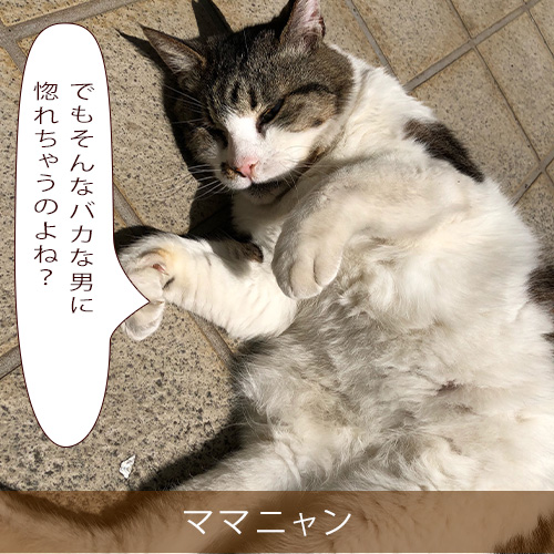 20211120_touko.jpg