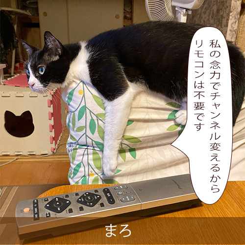 20211121_touko.jpg