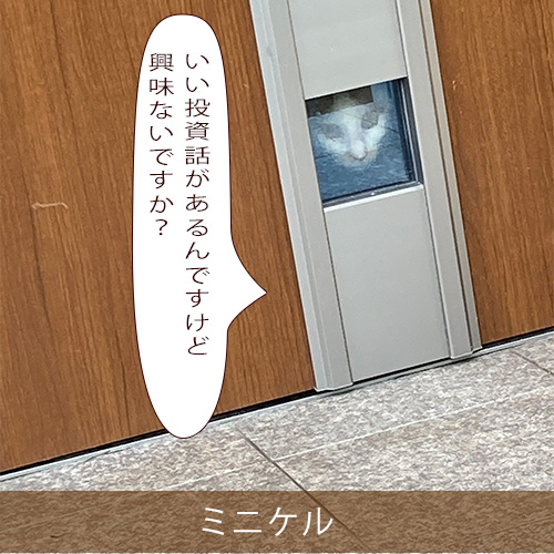 20211122_touko.jpg