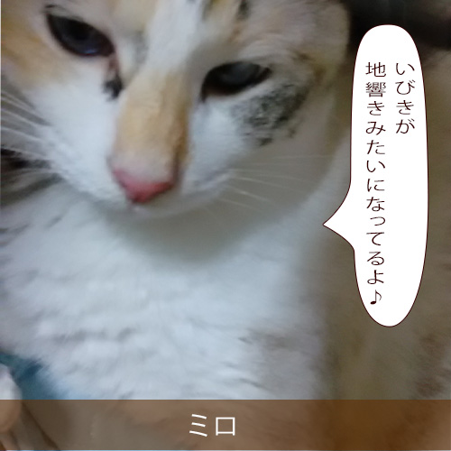 20211123_touko.jpg
