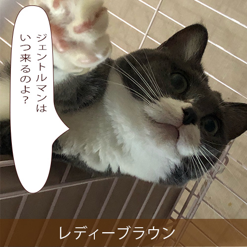 20211124_touko.jpg