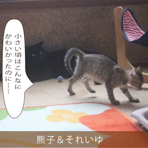 20211126_touko.jpg