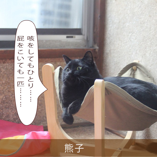 20211127_touko.jpg