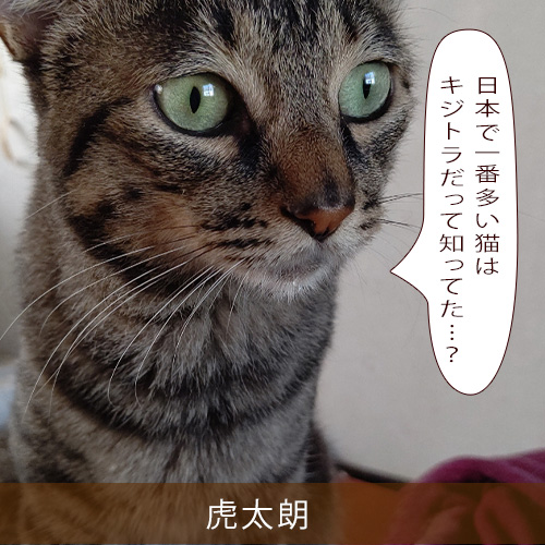 20211128_touko.jpg