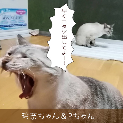 20211129_touko.jpg