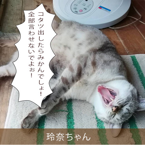 20211130_touko.jpg
