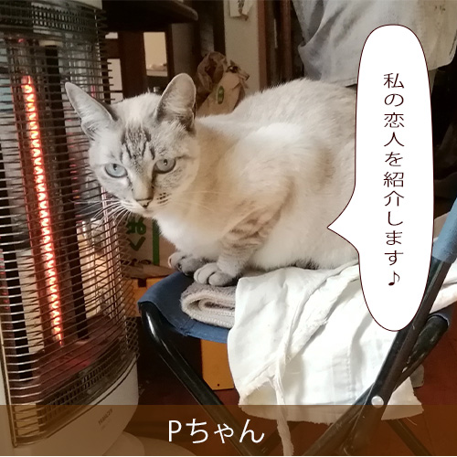 20211201_touko.jpg