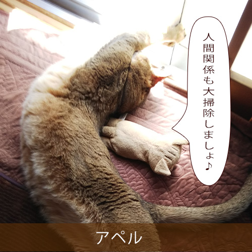 20211204_touko.jpg