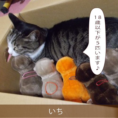 20211205_touko.jpg