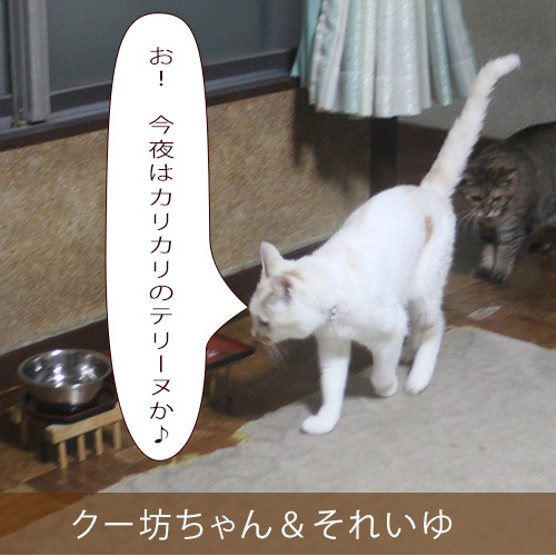 20211206_touko.jpg