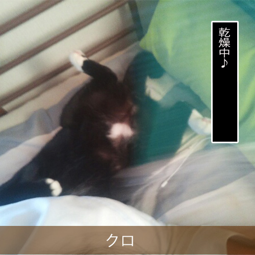20211208_touko.jpg