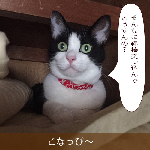 20211209_touko.jpg
