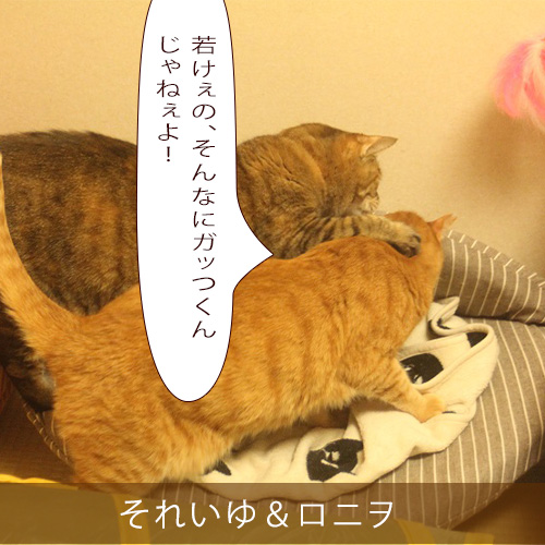 20211210_touko.jpg