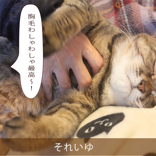 20211211_touko.jpg
