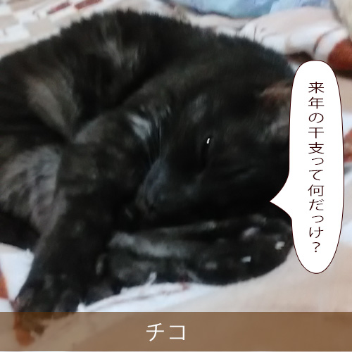 20211212_touko.jpg