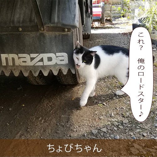 20211213_touko.jpg