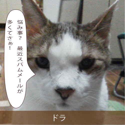 20211214_touko.jpg