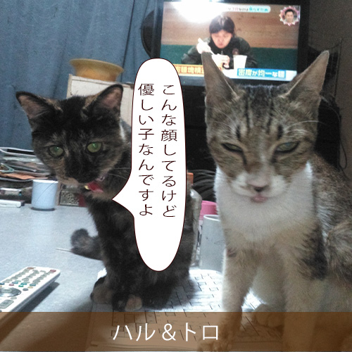 20211215_touko.jpg