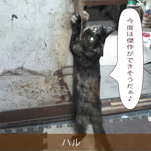 20211217_touko.jpg