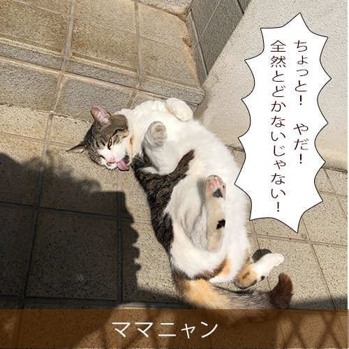 20211218_touko.jpg
