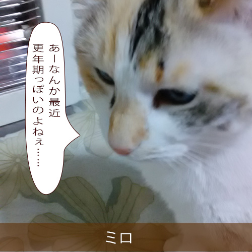 20211219_touko.jpg
