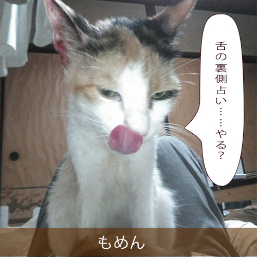 20211221_touko.jpg