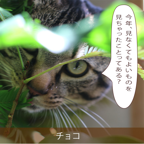 20211229_touko.jpg